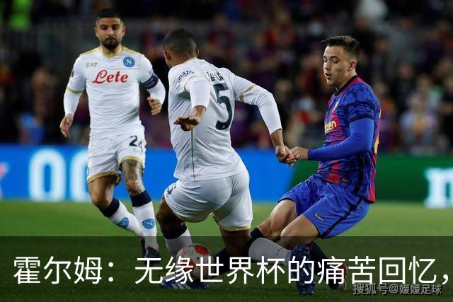霍尔姆：无缘世界杯的痛苦回忆，如今重返国家队倍感欣慰